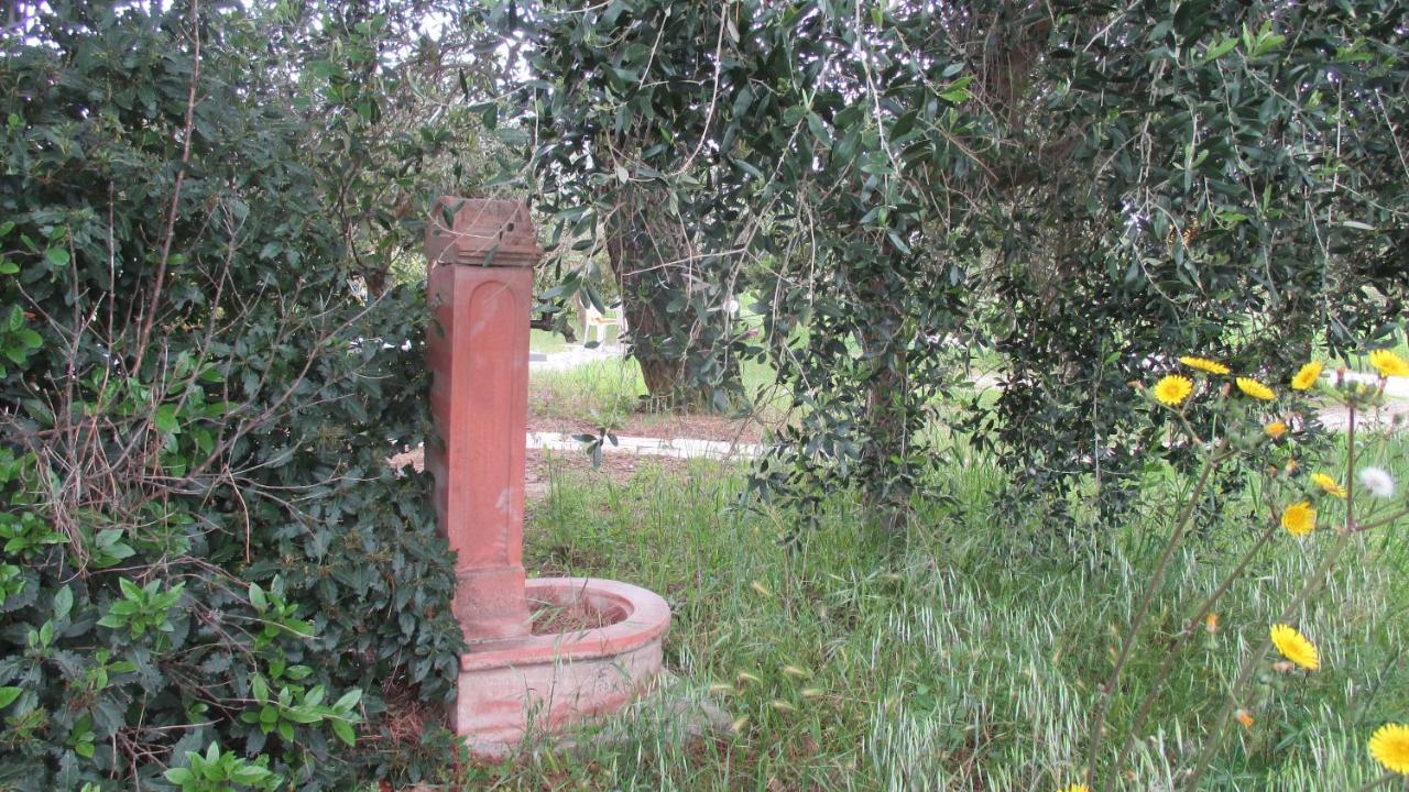 אסיסי Relais"La Cappuccina" Rooms&Apartments מראה חיצוני תמונה